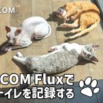 SORACOM Fluxで愛猫のトイレを記録する